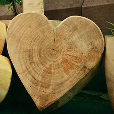 5 cepillos para tus trabajos de madera